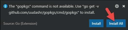 "Go Packages Install Prompt"